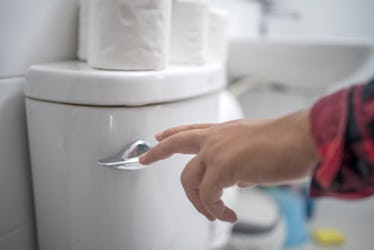 A hand flushing a toilet.