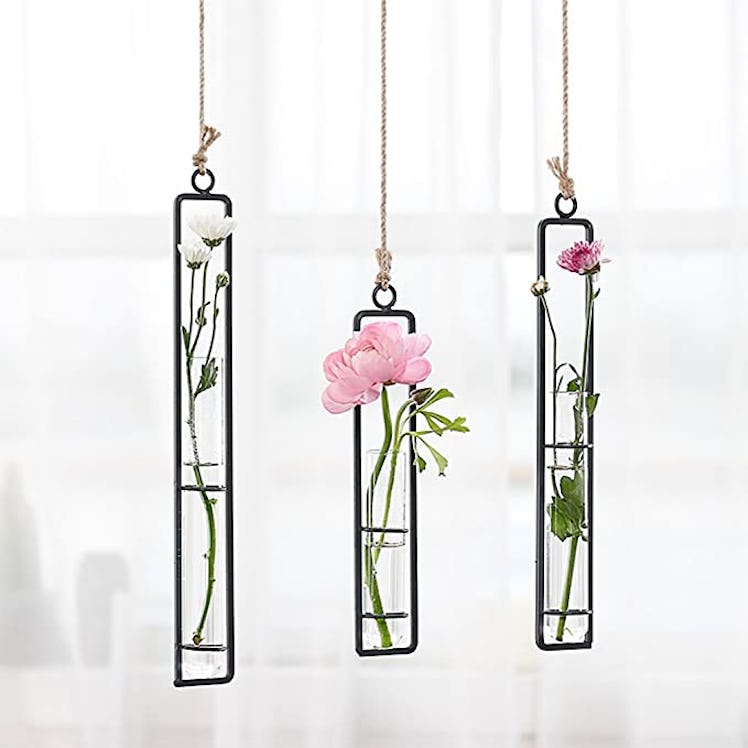 BO YOU Hanging Glass Planter Vase (3-Pack)