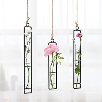 BO YOU Hanging Glass Planter Vase (3-Pack)
