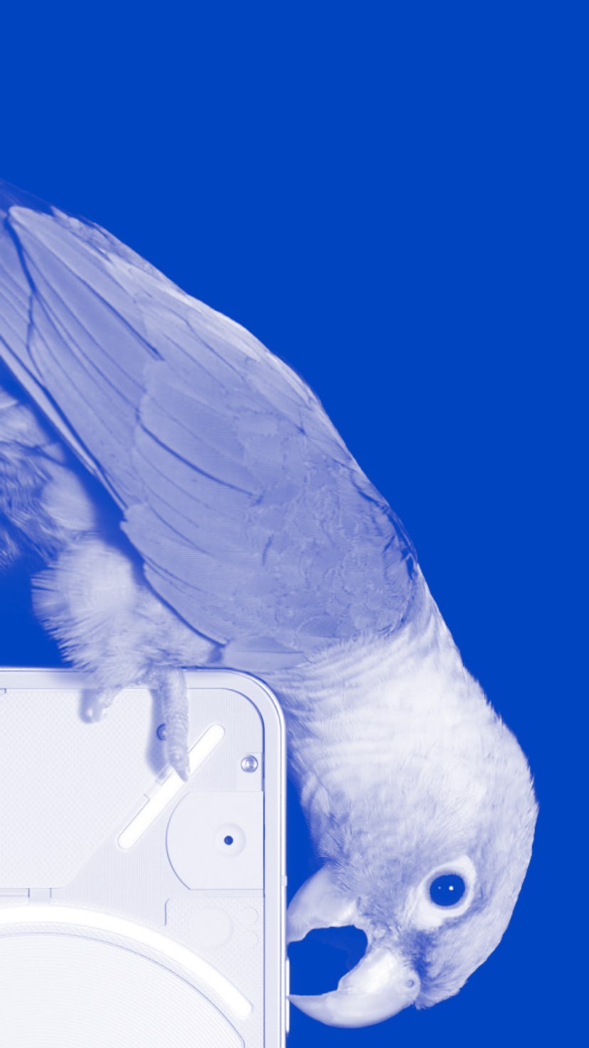 A parrot on Nothing Phone 1