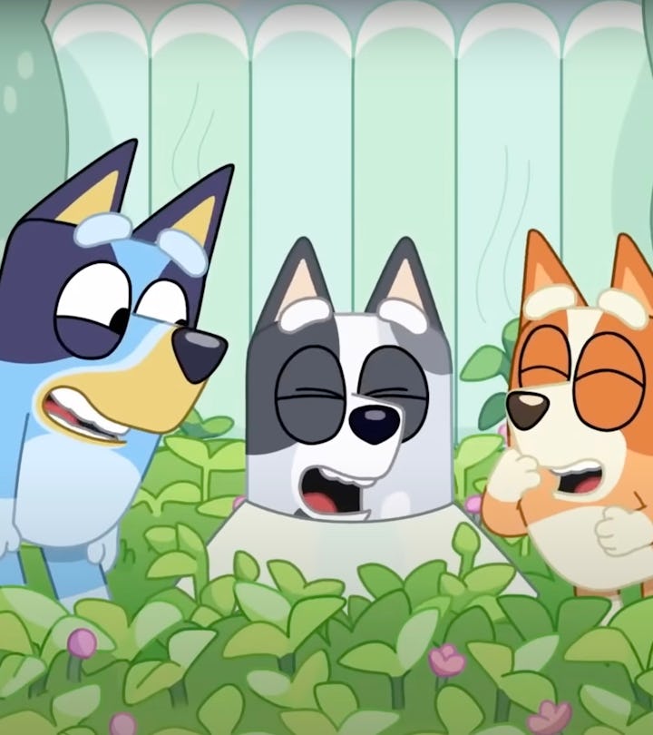 What Kind Of Dog Is Bluey? A Guide To Every Breed In The Show