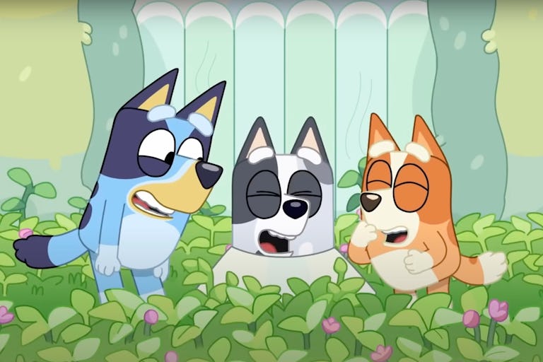 What Kind Of Dog Is Bluey? A Guide To Every Breed In The Show