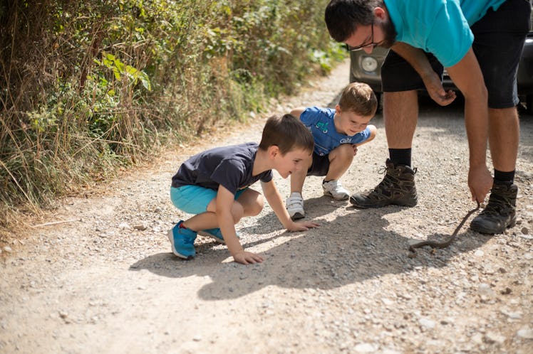 Two boys looking at a snake on the ground outside with their dad.