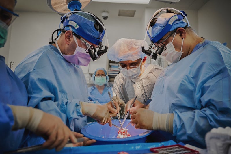 surgeons performing the first genetically modified pig heart transplant