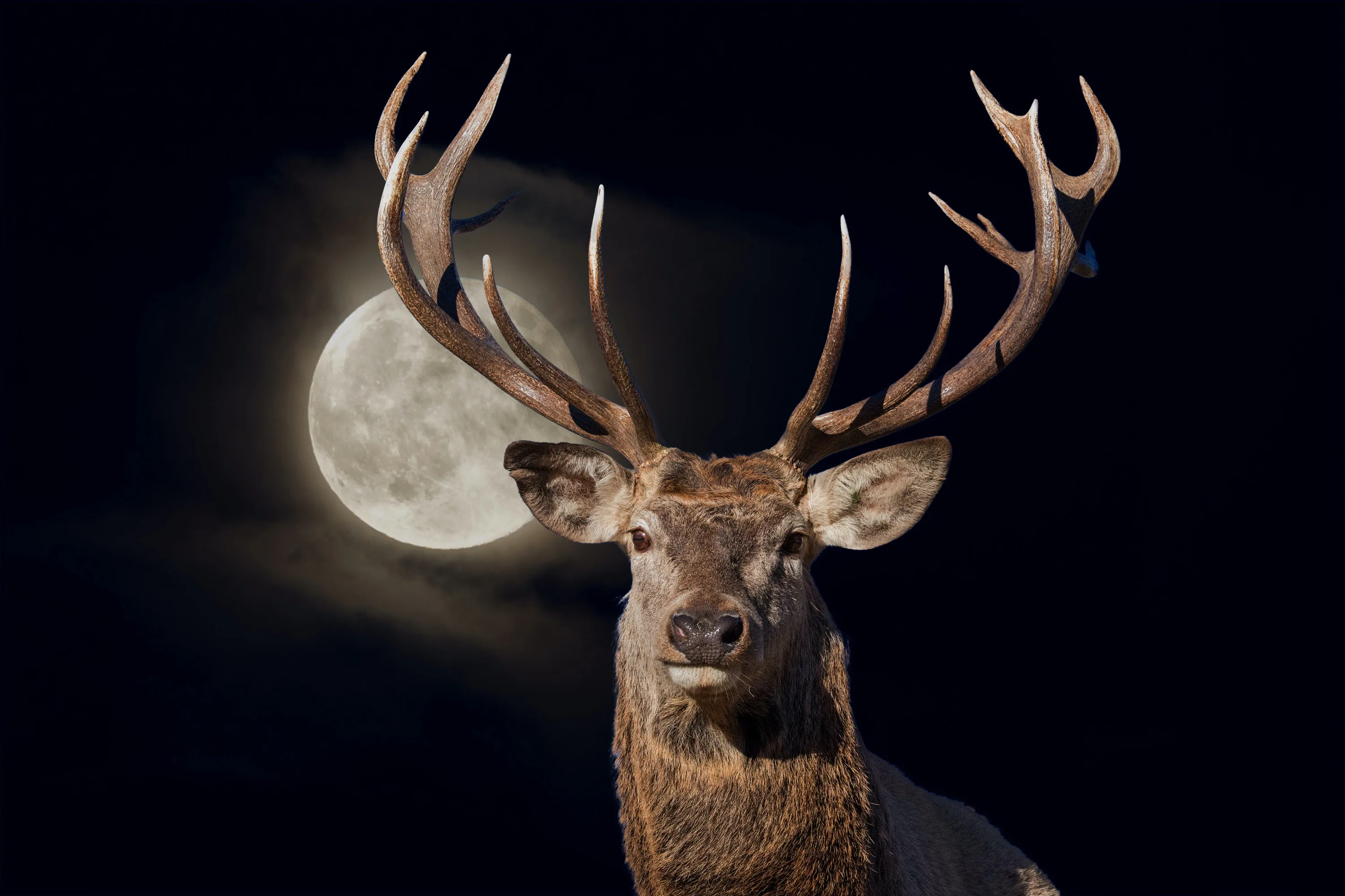 July’s Full “Buck” Moon Is Coming — And It Will Wow You