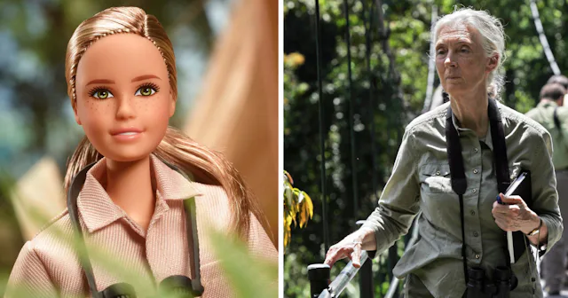 Jane Goodall just got her own Barbie doll — and it's made out of recycled plastic of course.