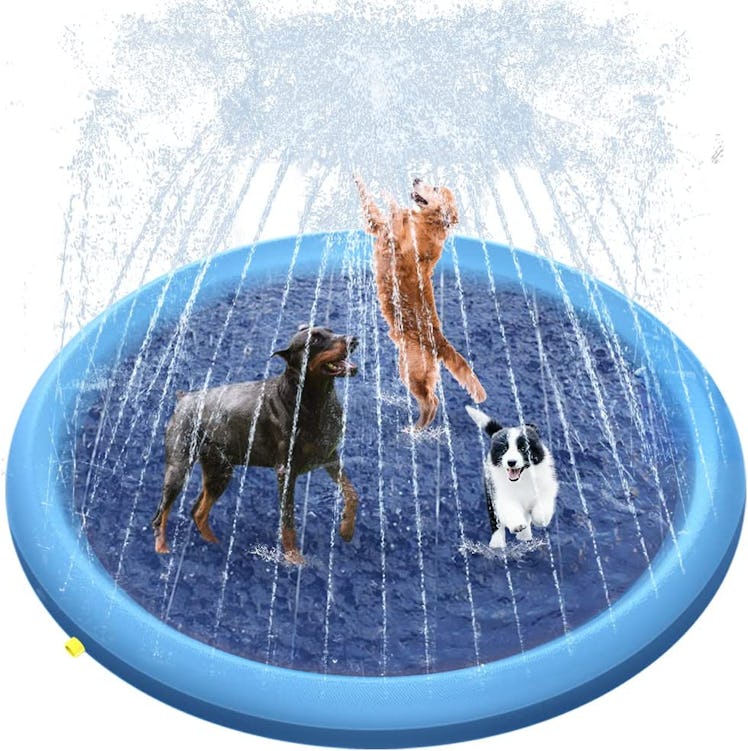 splash fountain, dog pool