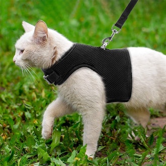 escape proof cat harness with dual fasteners
