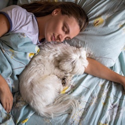 What does it mean if you dream about dogs? Experts weigh in.