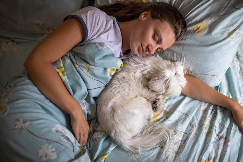 What does it mean if you dream about dogs? Experts weigh in.