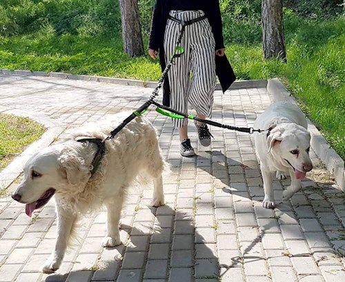 Pet Dreamland Hands-Free Double Dog Leash