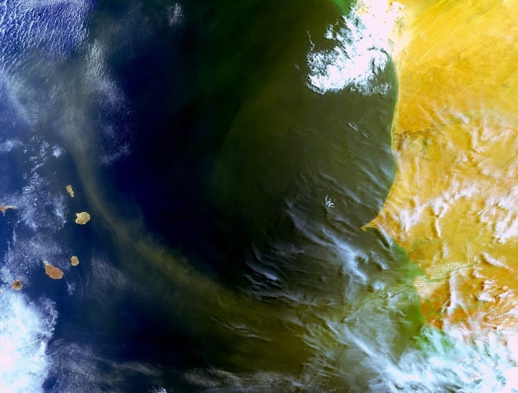 Saharan dust traveling west towards the Cape Verde islands (left). The right side of this image is a...