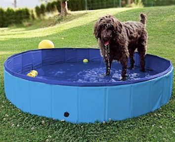 Greenco Portable Dog Pool