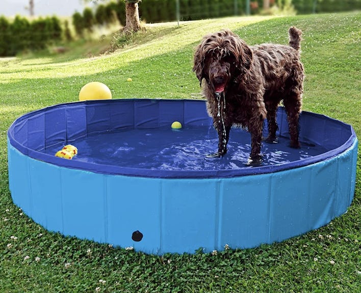 Greenco Portable Dog Pool