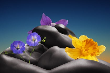 A collage of flowers and body silhouettes representing how pleasure became political 