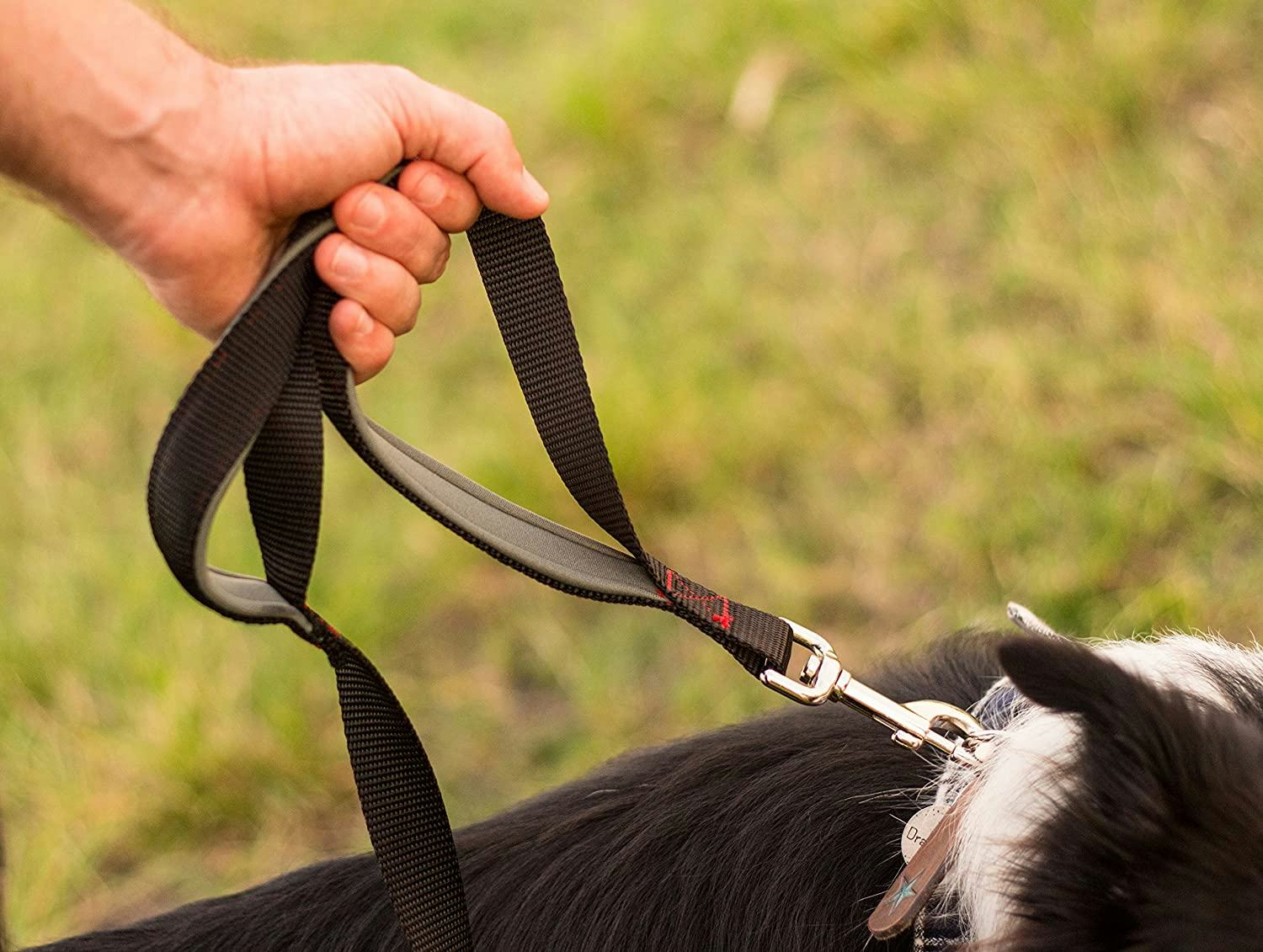 Leash Boss Two Handle Dog Leash with Extra Traffic Handle