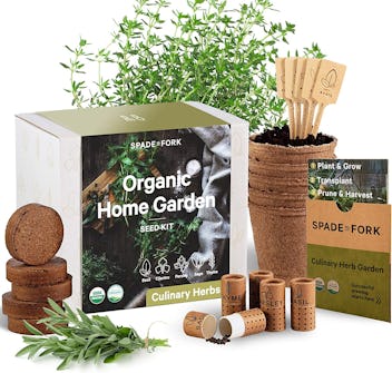 Indoor Herb Garden Starter Kit - Certified USDA Organic Non GMO - 5 Herb Seed Basil, Cilantro, Parsl...