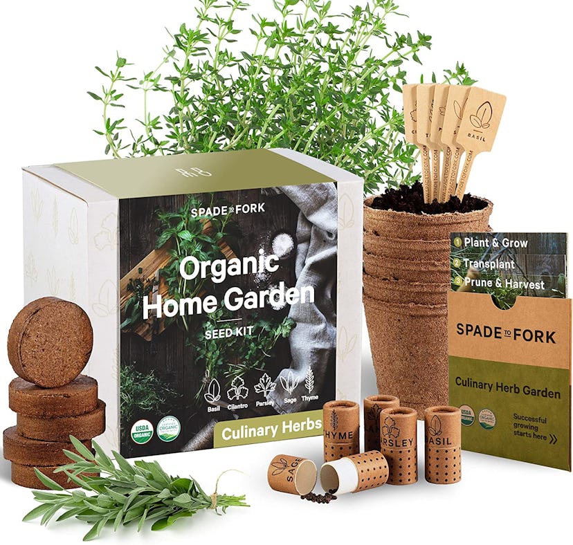 Indoor Herb Garden Starter Kit - Certified USDA Organic Non GMO - 5 Herb Seed Basil, Cilantro, Parsl...