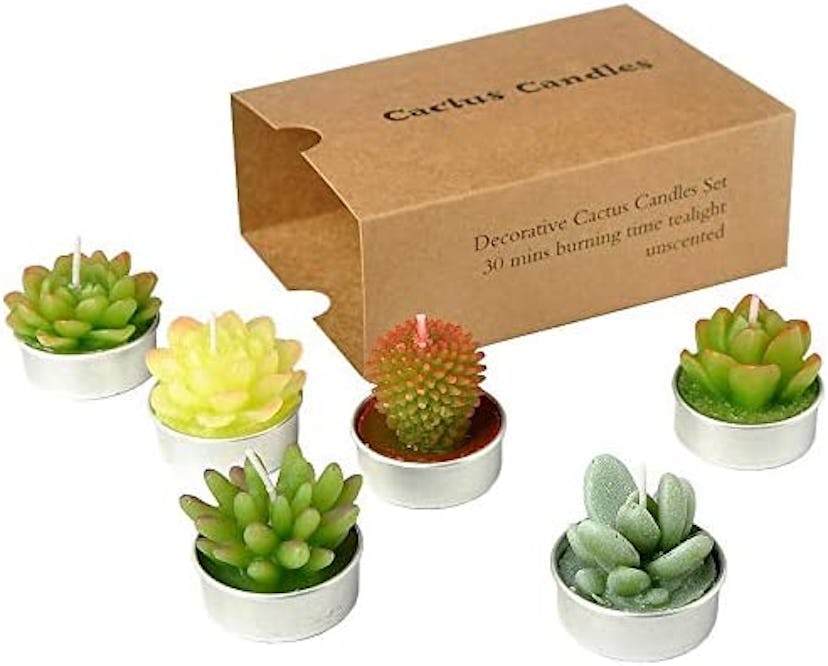 SSleng Cactus Tealight Candles, Handmade Delicate Succulent Cactus Candles（ Perfect for Birthday Par...
