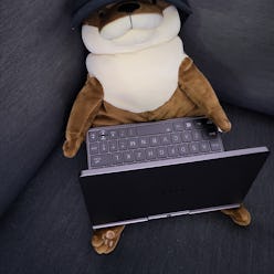 A plushy otter pictured wearing a baseball cap with the GPD Pocket 3 in its lap
