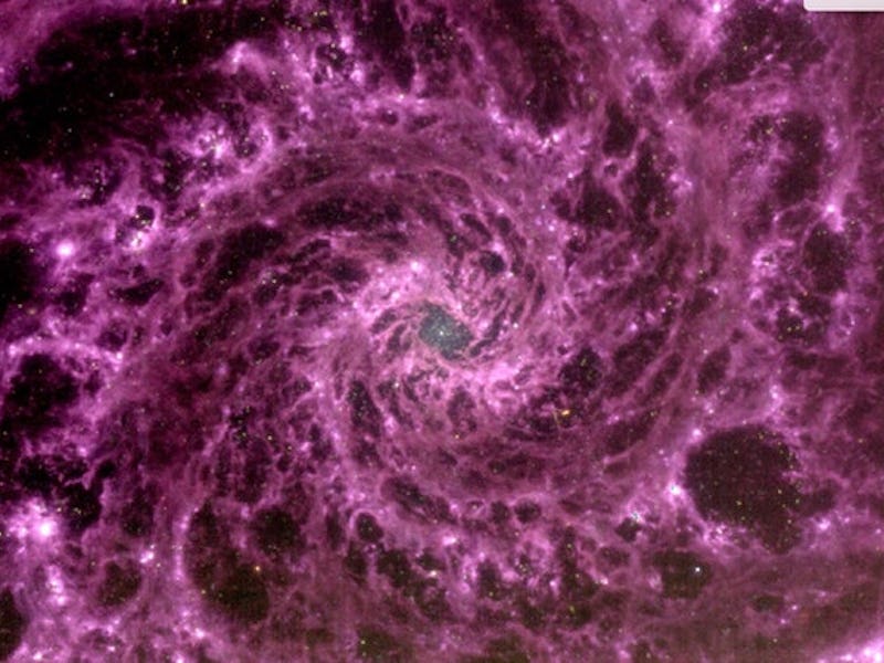 An image from the Webb Telescope