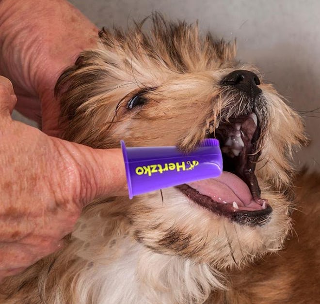 Hertzko Pet Tooth Brush