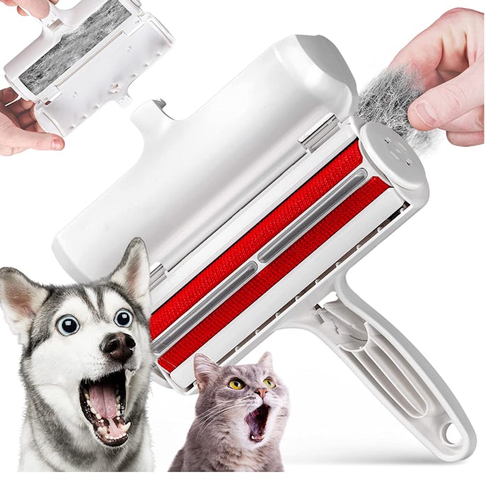 ChomChom Pet Hair Remover 