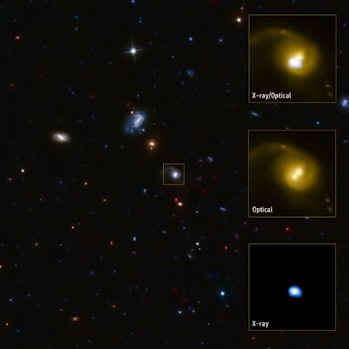 Telescopio Webb para examinar el agujero negro rebelde en el Llam de su galaxia