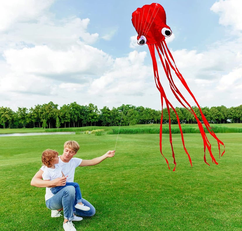 Hengda Octopus Kite For Kids