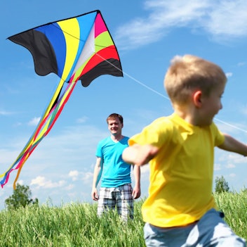 Mint's Colorful Life Delta Flying Rainbow Kite For Kids
