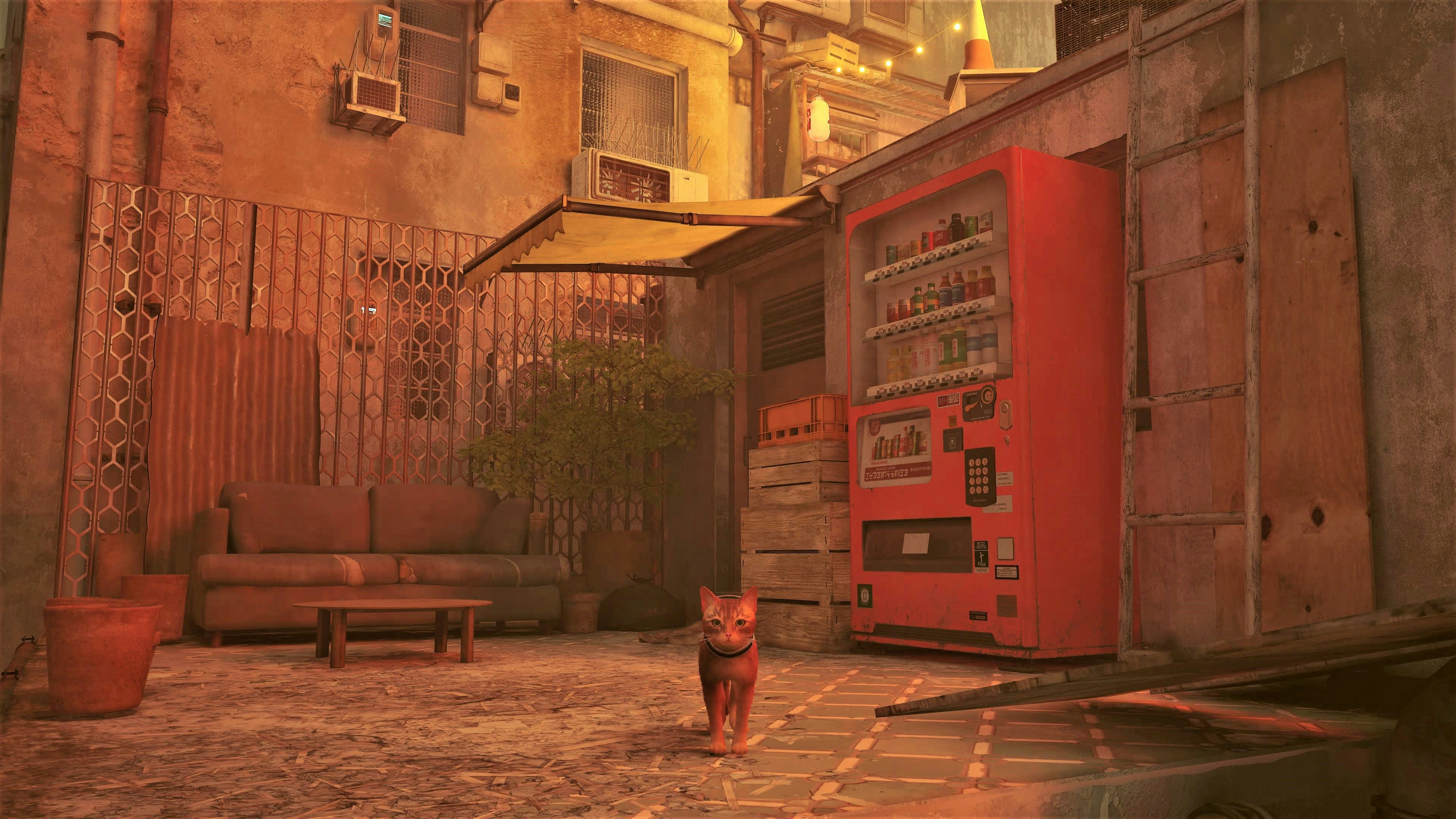 'Stray' Energy Drink locations Where to find all 4 vending machines