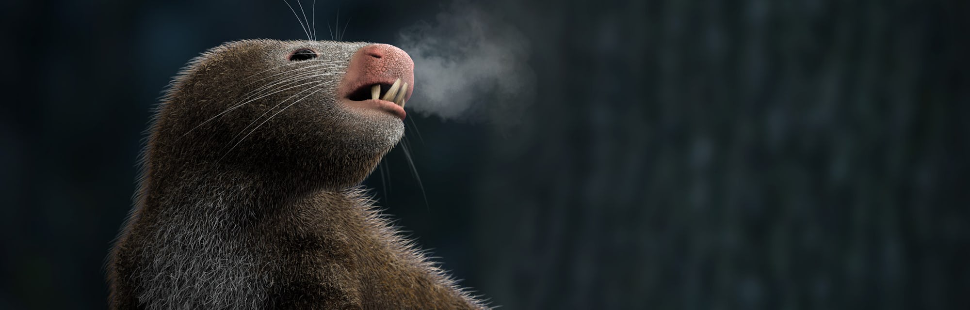 Mammals’ ears reveal the surprising evolution of warm-bloodedness