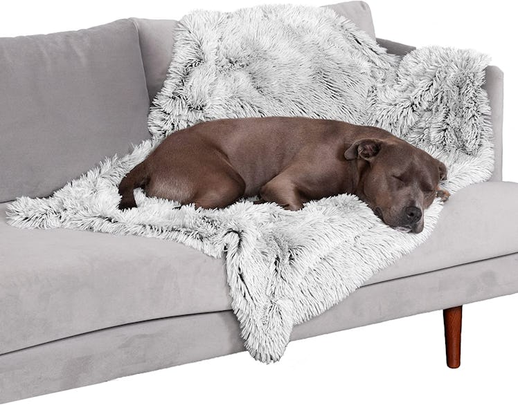 Furhaven Waterproof Calming Plush Blanket