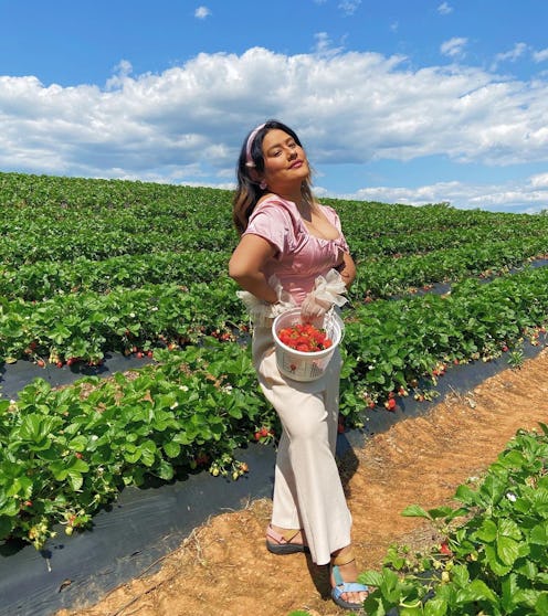 veggie mijas amy quichiz