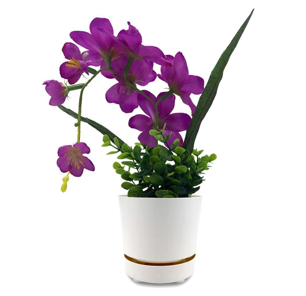 HBServices Self Watering + Self Aerating High Drainage Pot