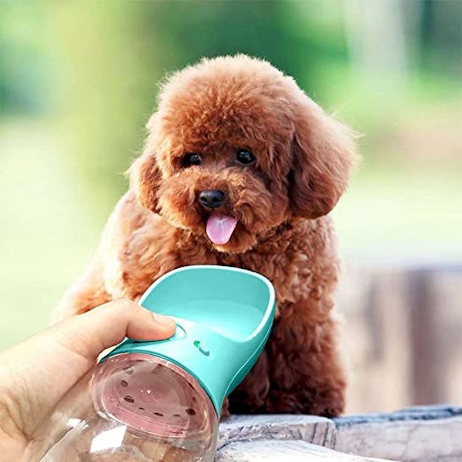 MalsiPree Portable Dog Water Bottle