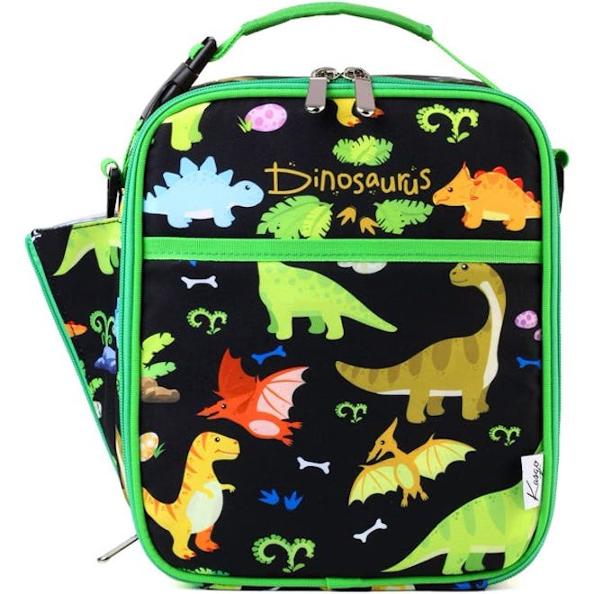 Friendly dinosaurs in a lunchbox with a water bottle holder