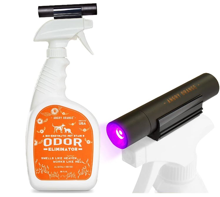 Angry Orange Odor Eliminator and Enzyme Carpet Cleaner with UV Flashlight