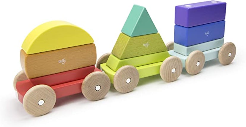 Tegu Magnetic Shape Train Building Blocks (9 Pieces)