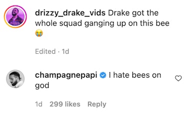 Drake commented on an Instagram post by a fan account and shared his feelings about bees.