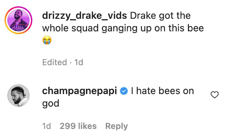 Drake commented on an Instagram post by a fan account and shared his feelings about bees.