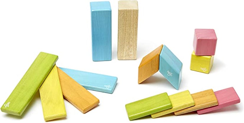 Tegu Magnetic Wooden Blocks (14 Pieces)