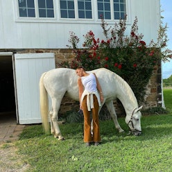 bella hadid and horse