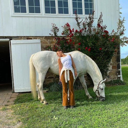 bella hadid and horse
