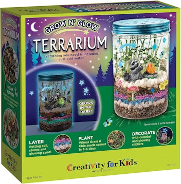 Creativity for Kids Grow N' Glow Terrarium Kit, one of the best housewarming gifts on Amazon