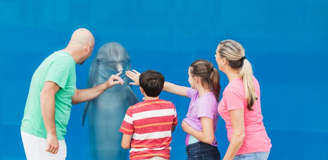 Animal trivia games for kids