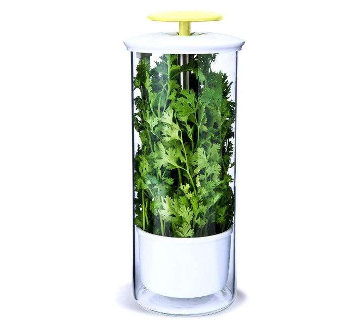 NOVART XXL Herb Keeper and Herb Saver