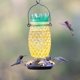 Perky-Pet Glass Hummingbird Feeder