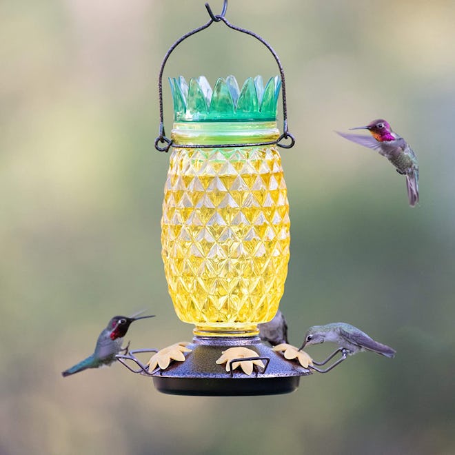 Perky-Pet Glass Hummingbird Feeder