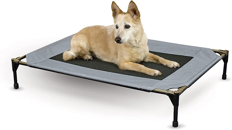 K&H Pet Products Elevated Dog Bed